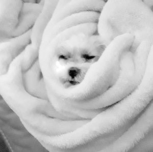 Meet your Posher, Beth